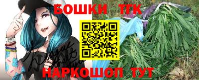 гашик Вышний Волочёк