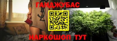гашик Вышний Волочёк