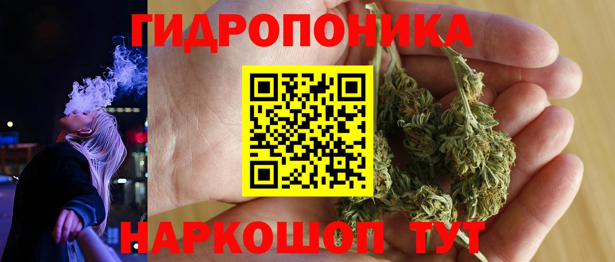Конопля White Widow  Вход с VPN  Бошки Шишки конопля  Каннабис планчик  Шишки марихуана индика  Минусинск 